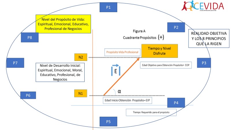 GRAFICAPROYVISIONVIDA